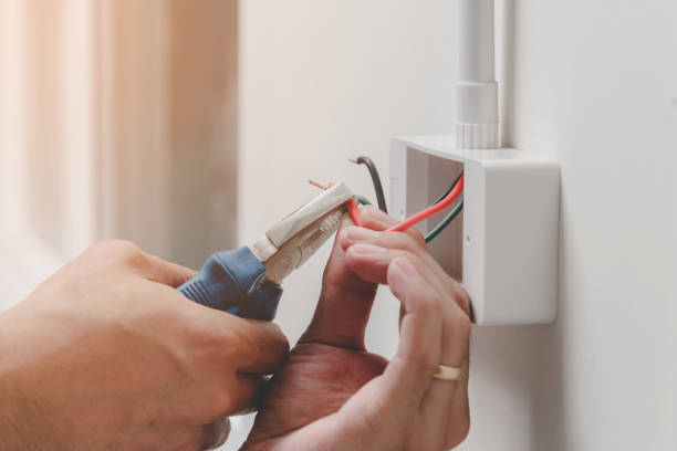 Best Surge Protection Installation  in Sconsin Dells, WI